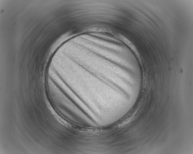 X0000080720803200701051033