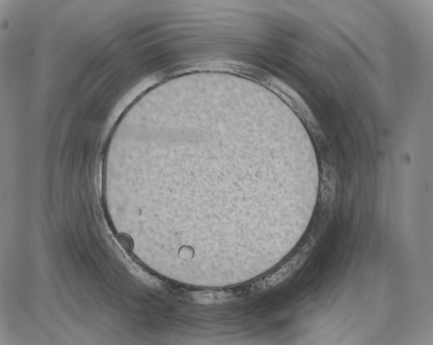 X0000080720804200701051033