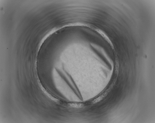 X0000080720805200701051033