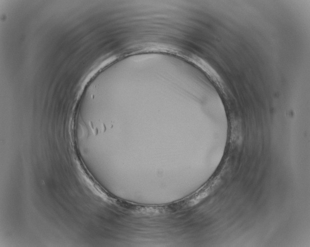 X0000080720806200701051033