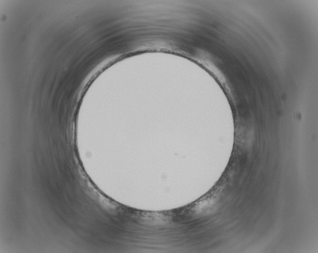 X0000080720807200701051033