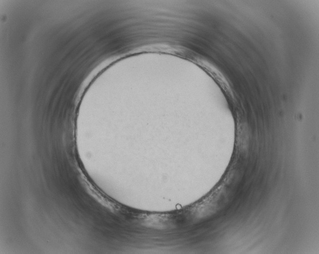 X0000080720808200701051033