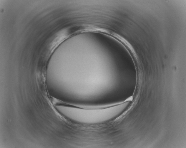 X0000080720809200701051033