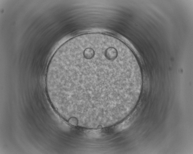 X0000080720810200701051033