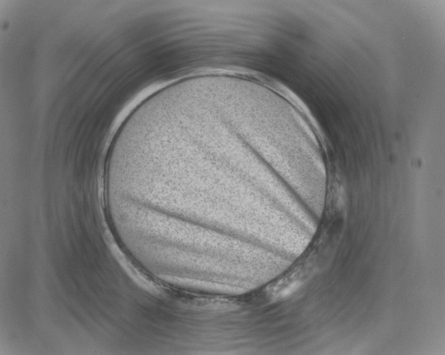 X0000080720811200701051033