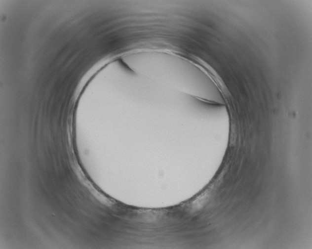 X0000080720812200701051033