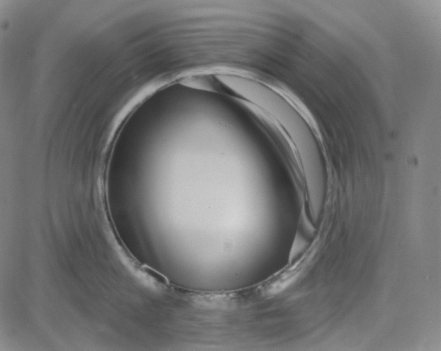 X0000080720813200701051033