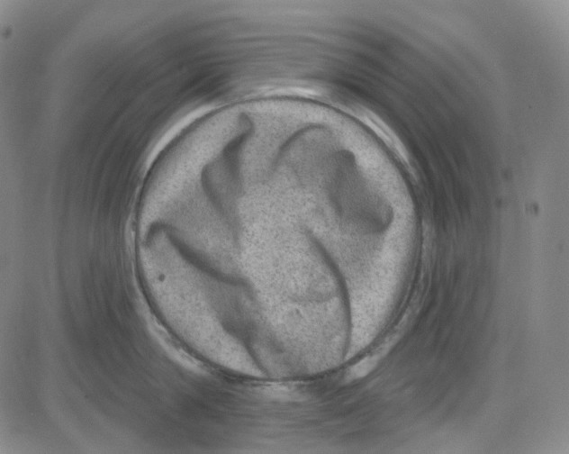 X0000080720814200701051033