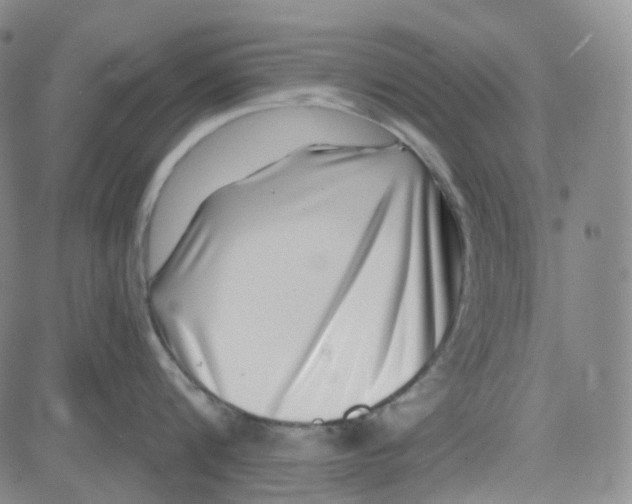 X0000080720816200701051032