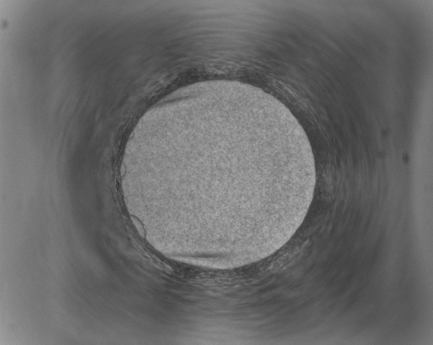 X0000080720817200701051032