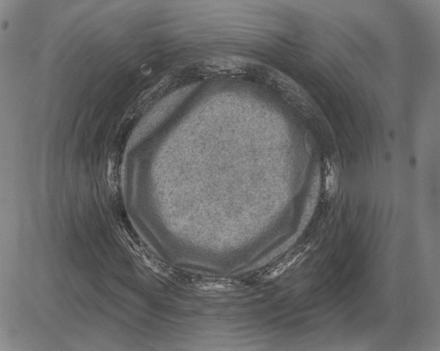 X0000080720819200701051032