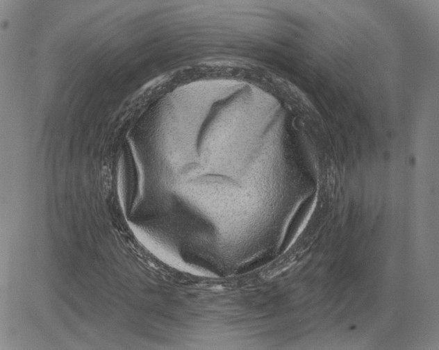 X0000080720821200701051032