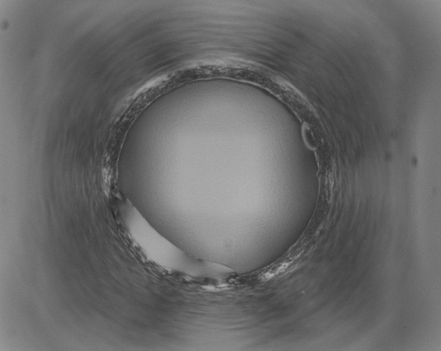 X0000080720822200701051032