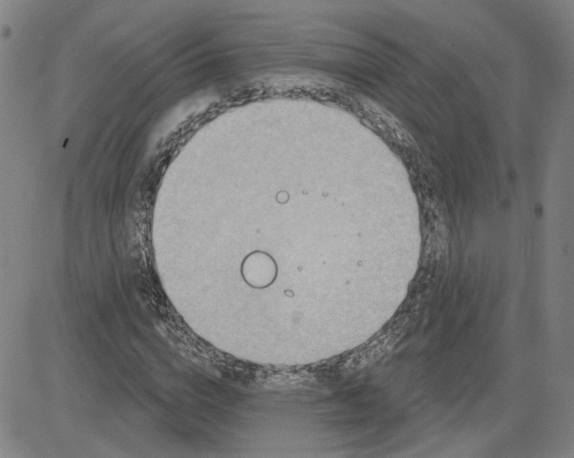 X0000080720824200701051032