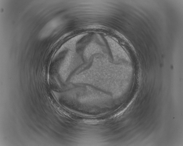 X0000080720825200701051032