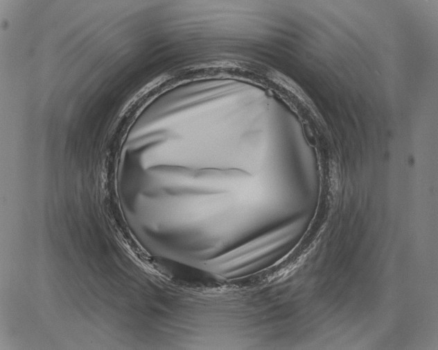 X0000080720826200701051032