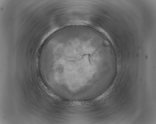 X0000080720827200701051032