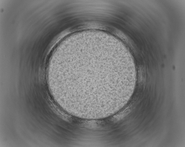 X0000080720828200701051032