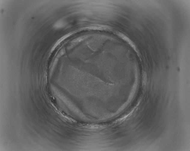 X0000080720829200701051032