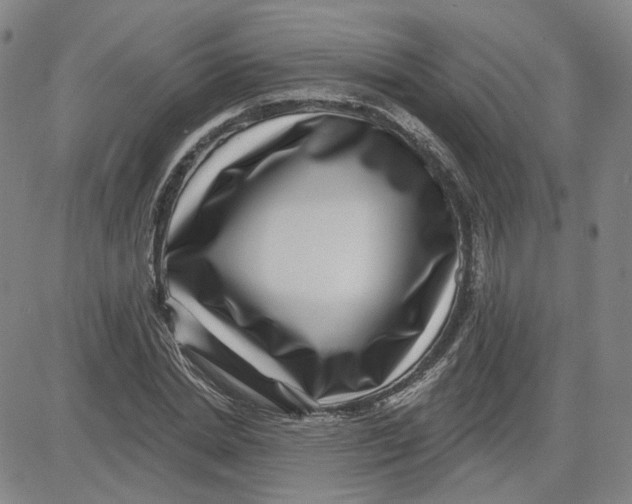 X0000080720830200701051032