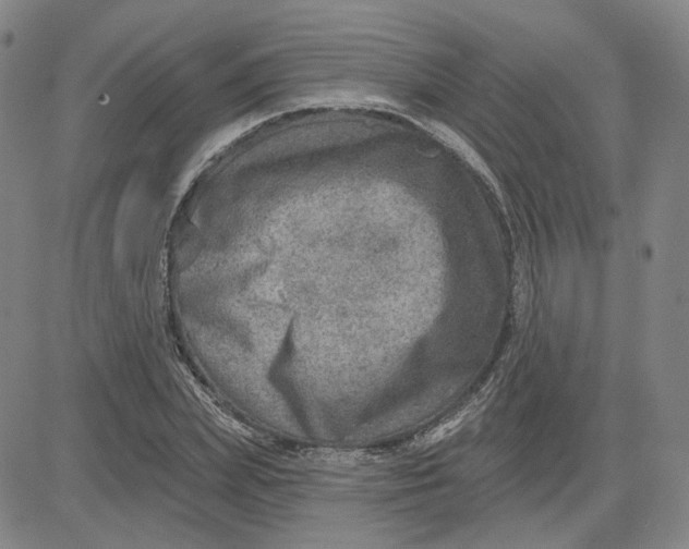 X0000080720831200701051032