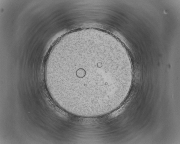 X0000080720832200701051032