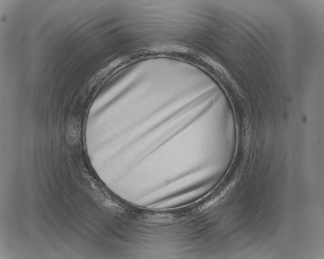 X0000080720833200701051032