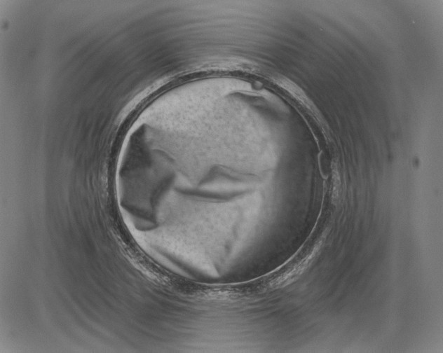 X0000080720834200701051032