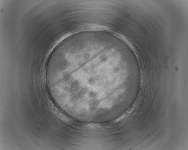 X0000080720835200701051032