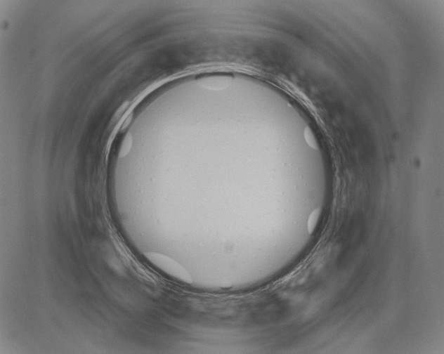 X0000080720836200701051032