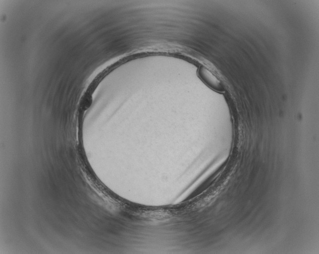 X0000080720838200701051032