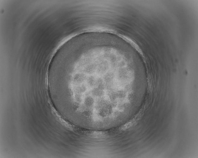 X0000080720839200701051032