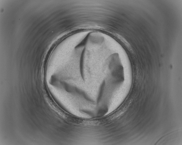 X0000080720840200701051032