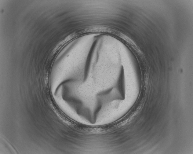 X0000080720841200701051032