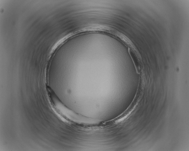 X0000080720842200701051032