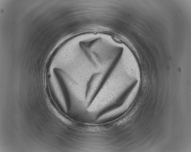 X0000080720843200701051032