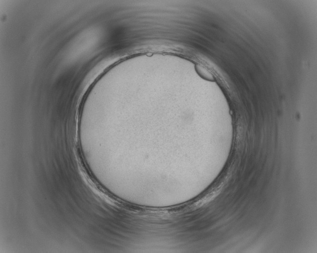 X0000080720844200701051032