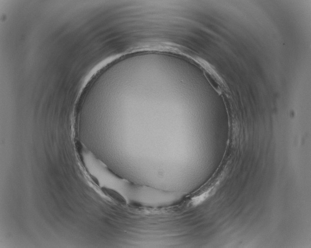 X0000080720846200701051032