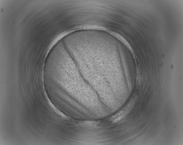 X0000080720847200701051032