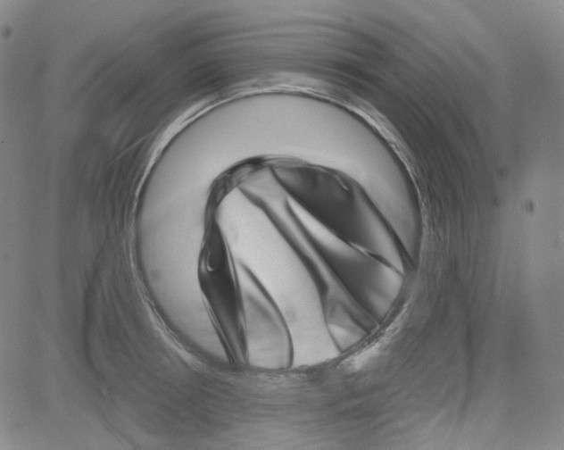 X0000080720850200701051032