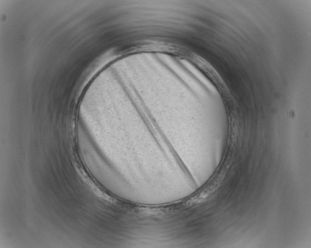 X0000080720852200701051032