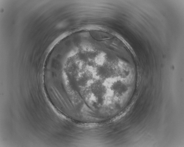 X0000080720853200701051032