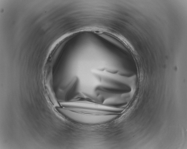 X0000080720854200701051032