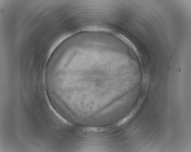 X0000080720855200701051032