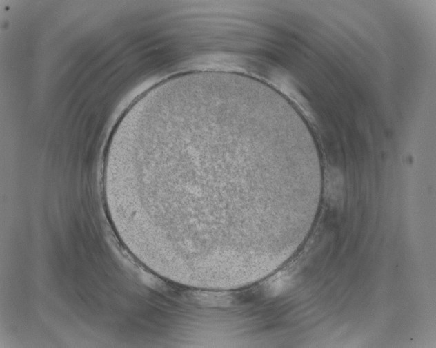 X0000080720856200701051032