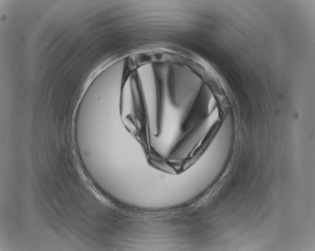 X0000080720858200701051032