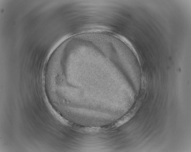 X0000080720859200701051032