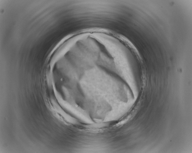 X0000080720860200701051032