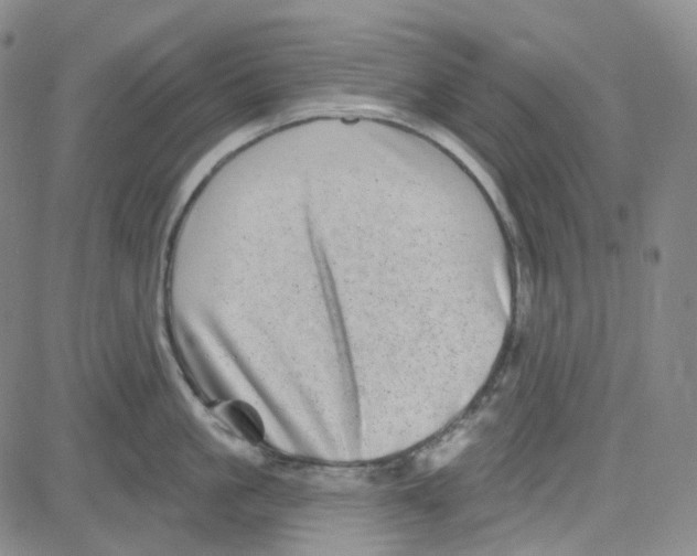 X0000080720861200701051032