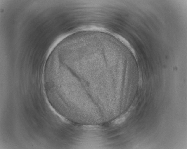 X0000080720863200701051032